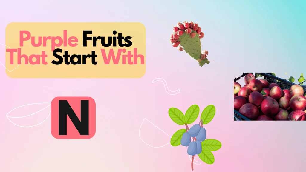 Purple Fruits That Start With Letter N