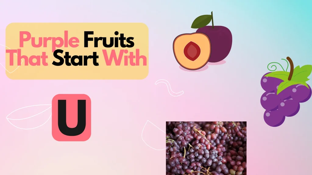 Purple Fruits That Start With Letter U