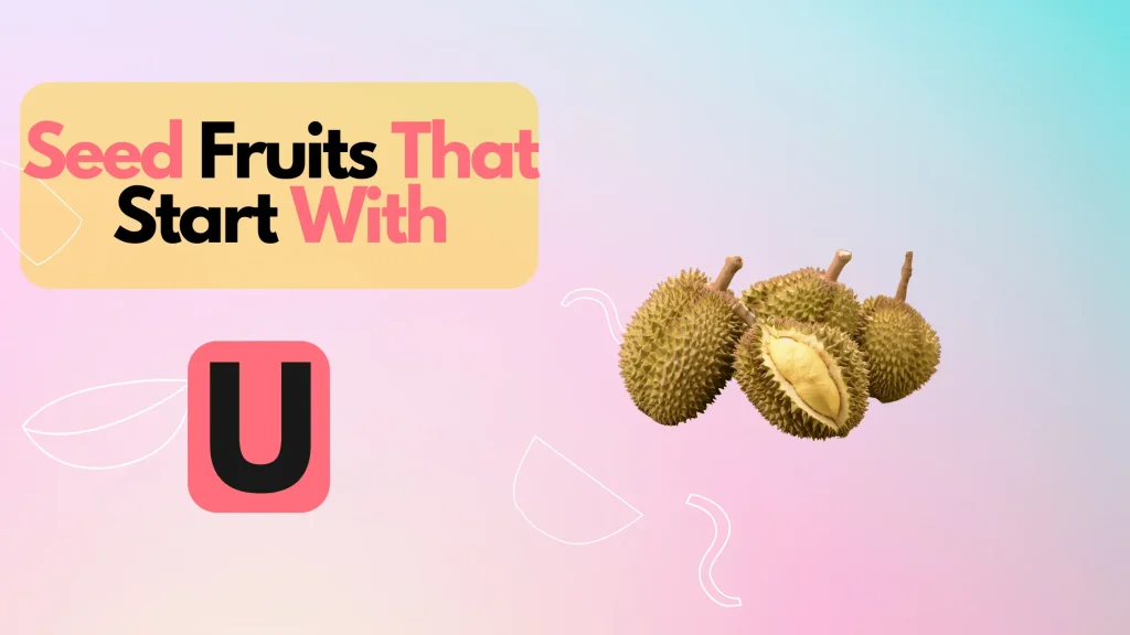 Seed Fruits That Start With U