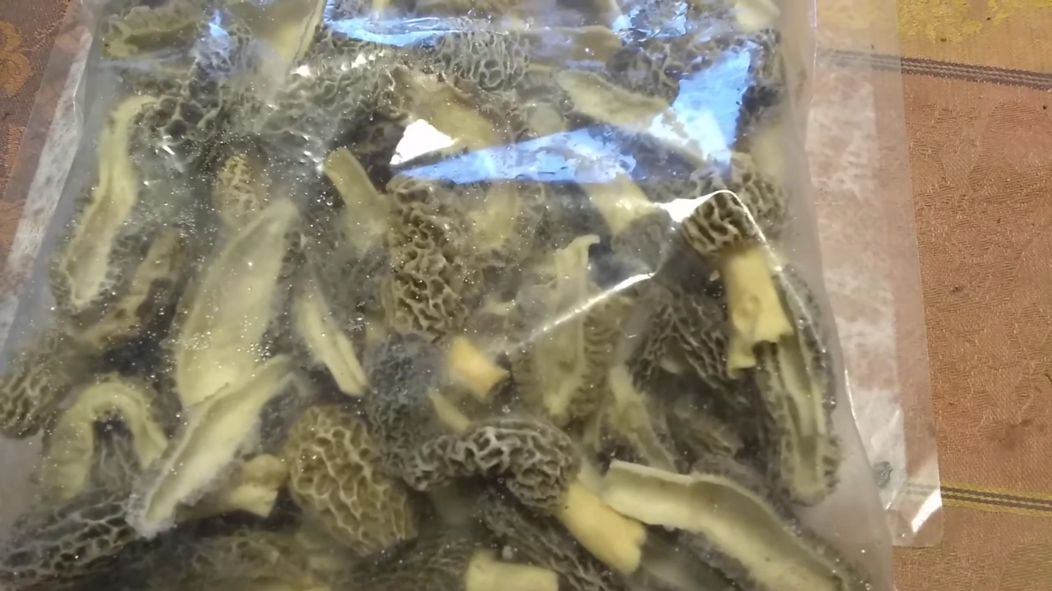 Can You Freeze Morel Mushrooms (And Exactly How To Do It) Czimers