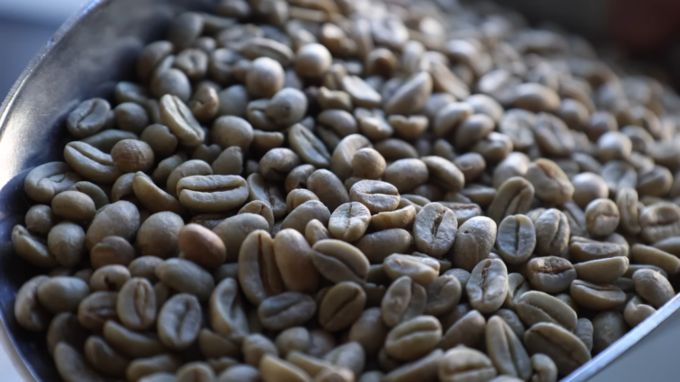 coffee beans preparation 